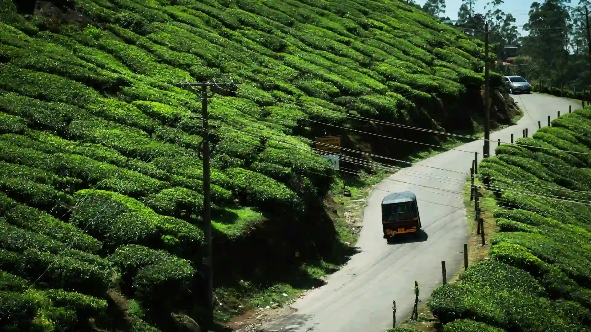 Munnar Hills