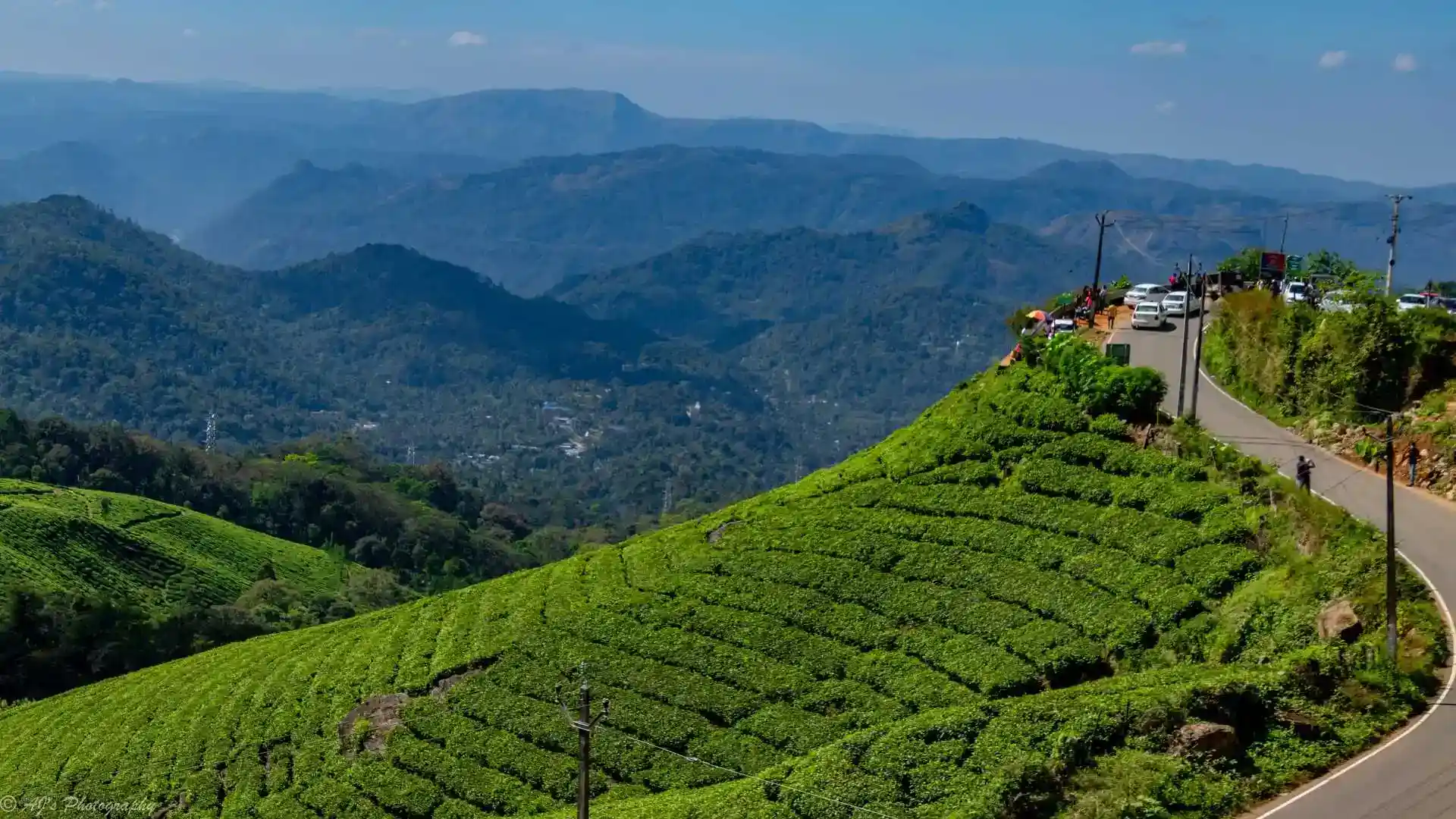Munnar Tea Gardens Kerala