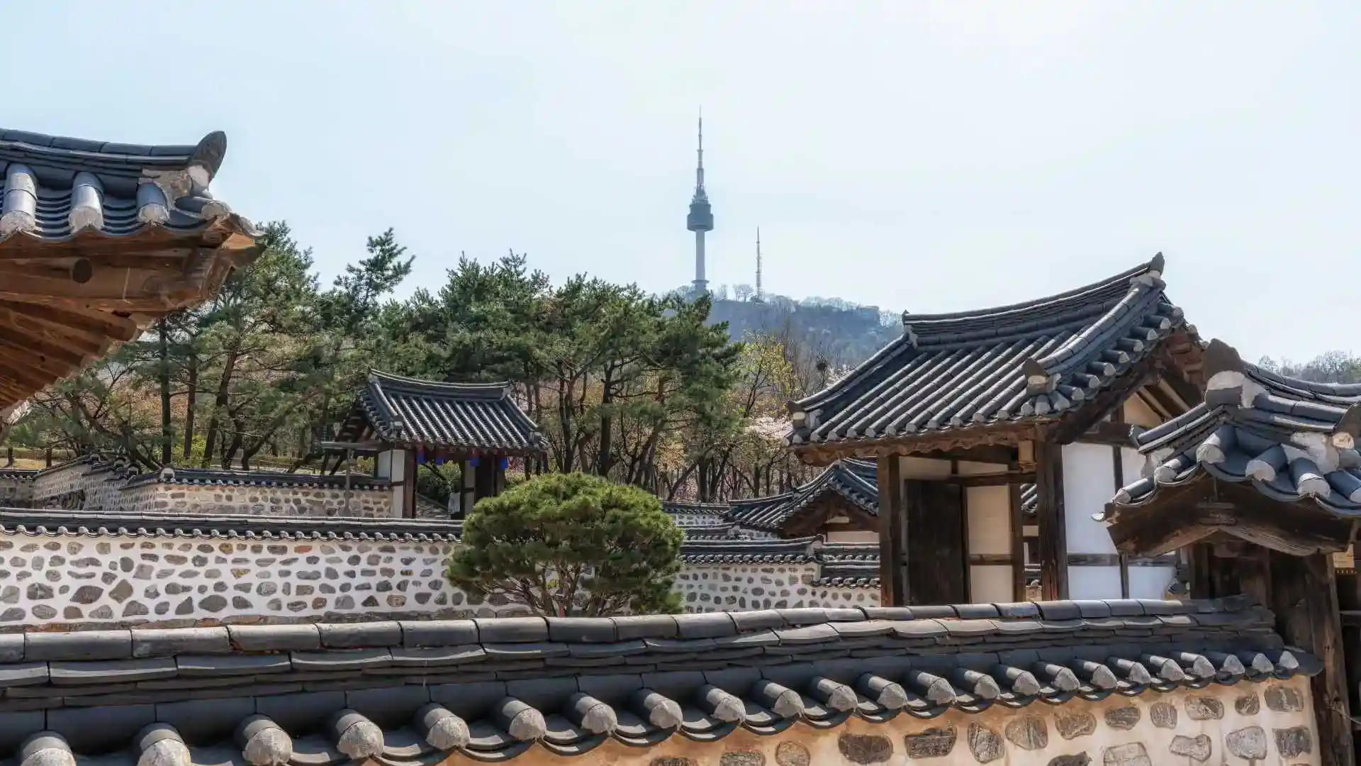 Amazing South Korea Tour Packages