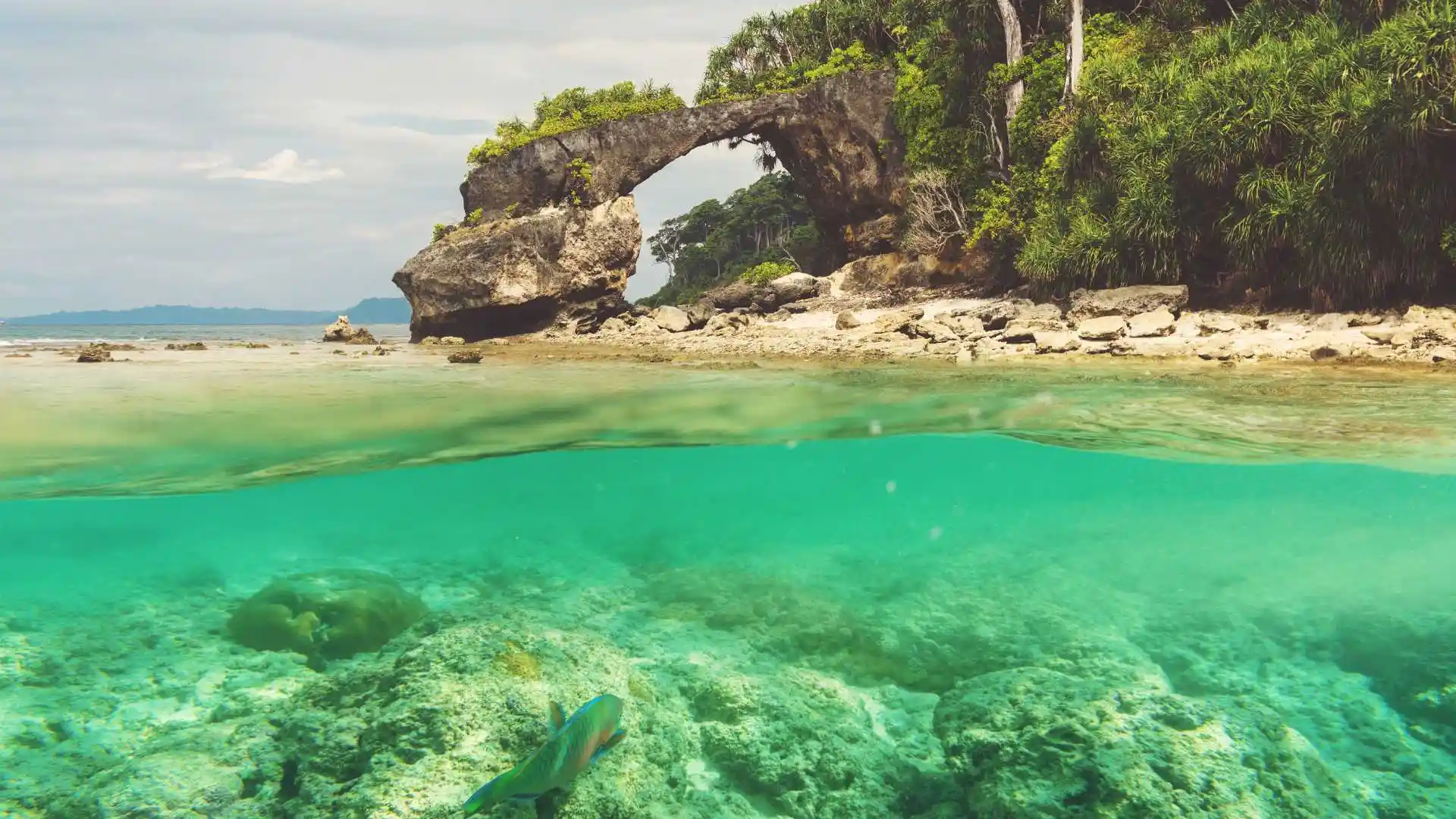 Natural Coral Bridge