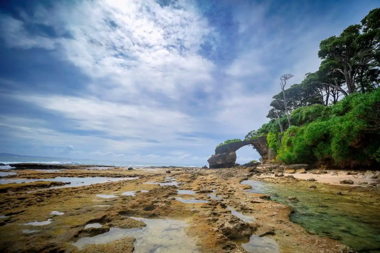 Neil Island - Coral Bridge