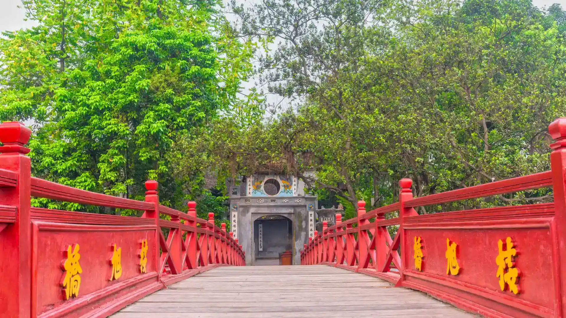 Experience the Culture and Adventure of Vietnam