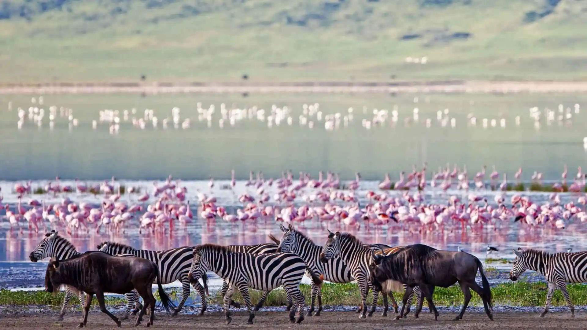 Ngorongoro Crater