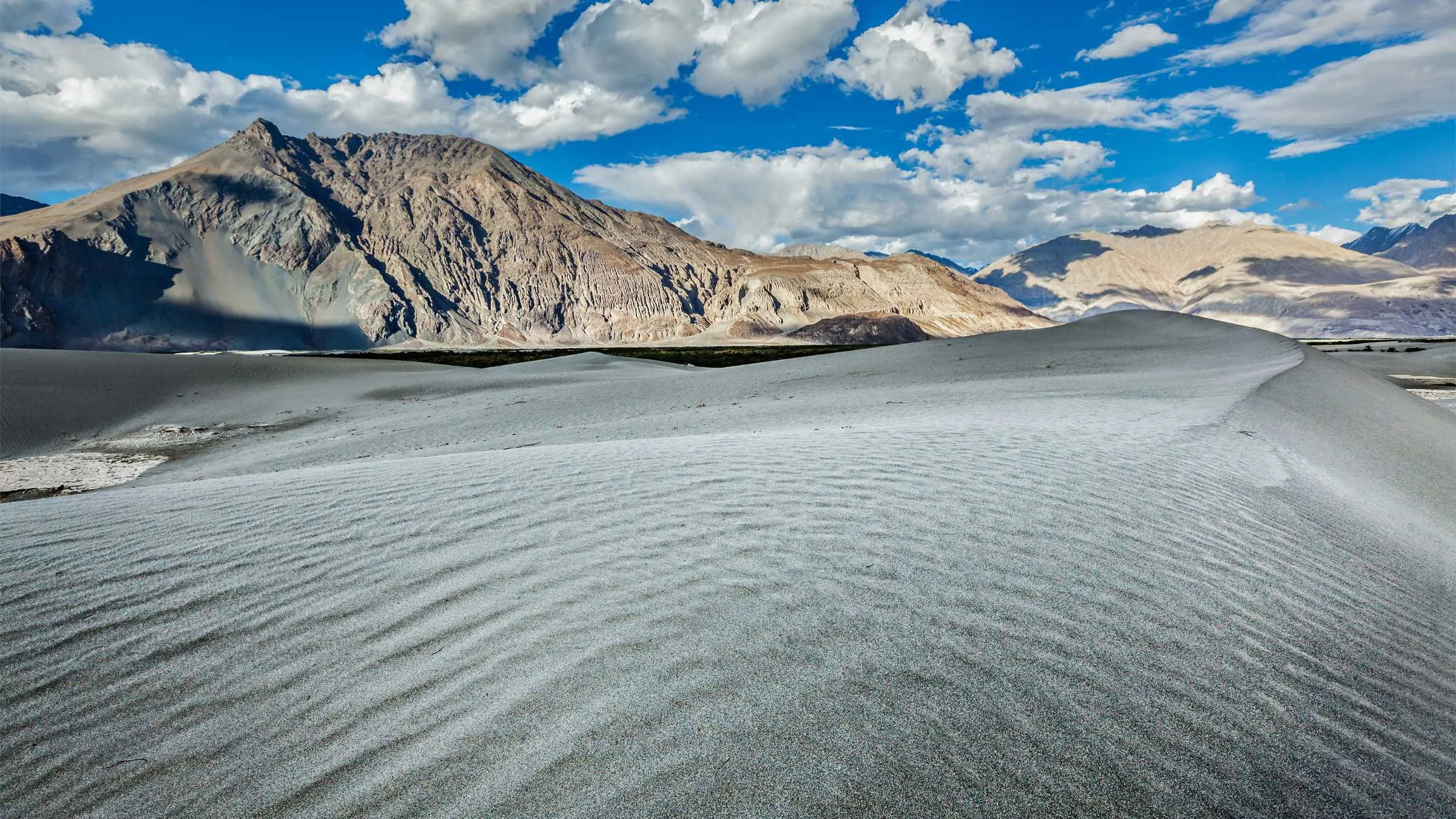 Nubra Valley Sand Dunes