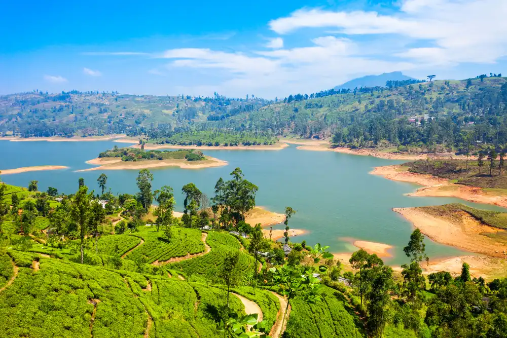 Nuwara Eliya