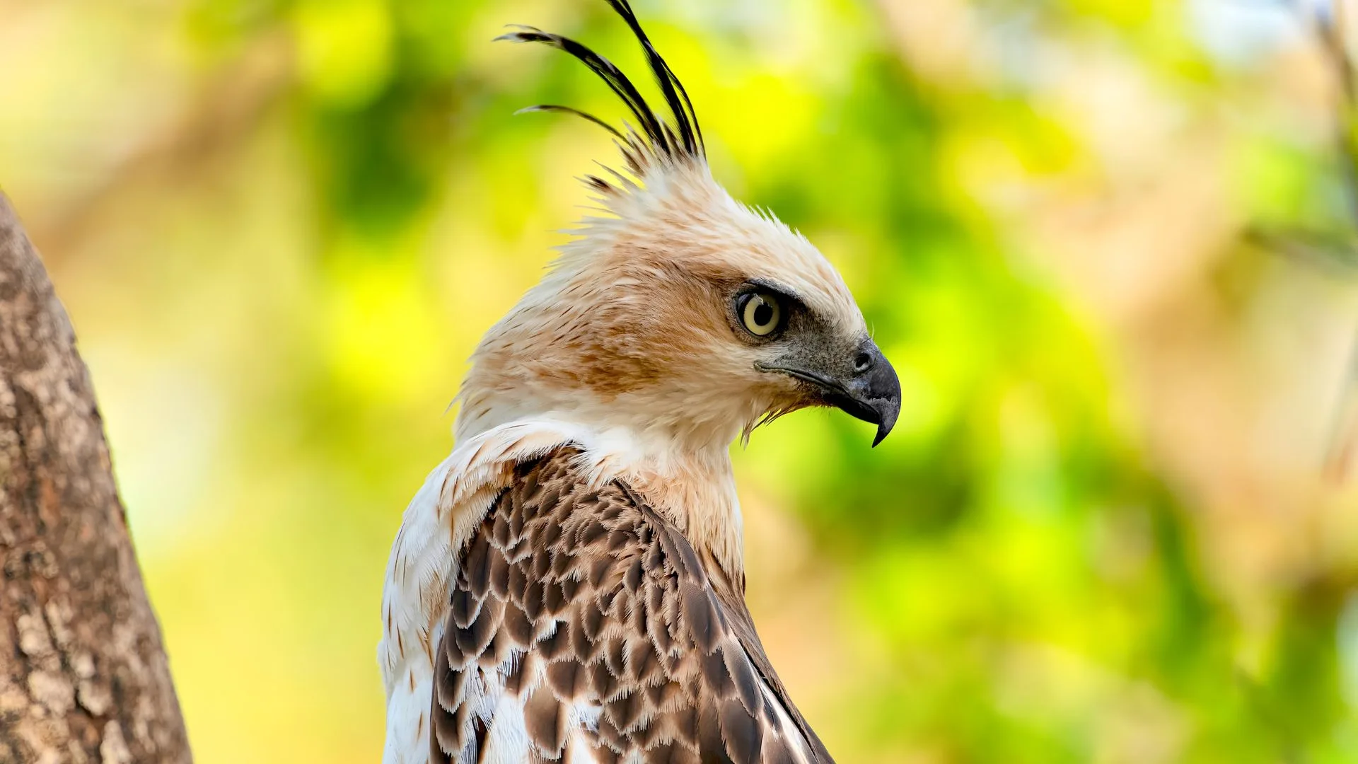 Pench National Park