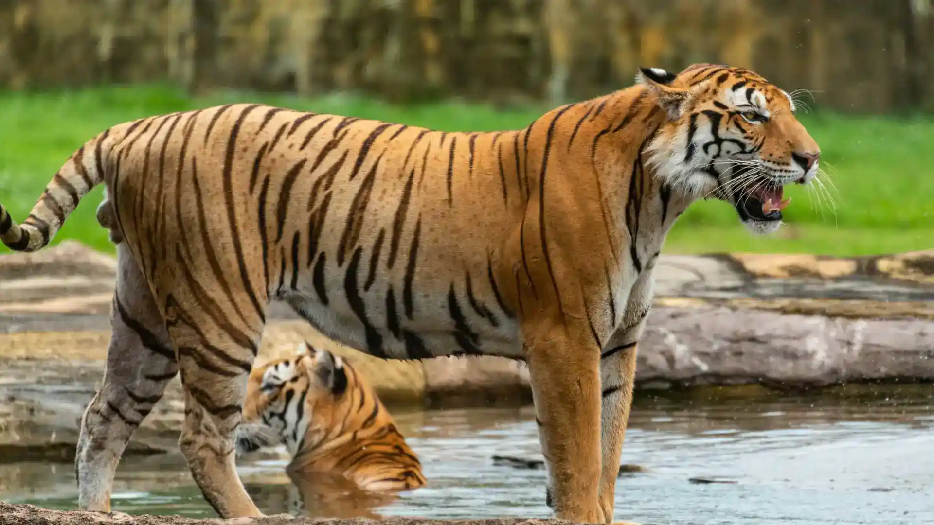 Periyar National Park