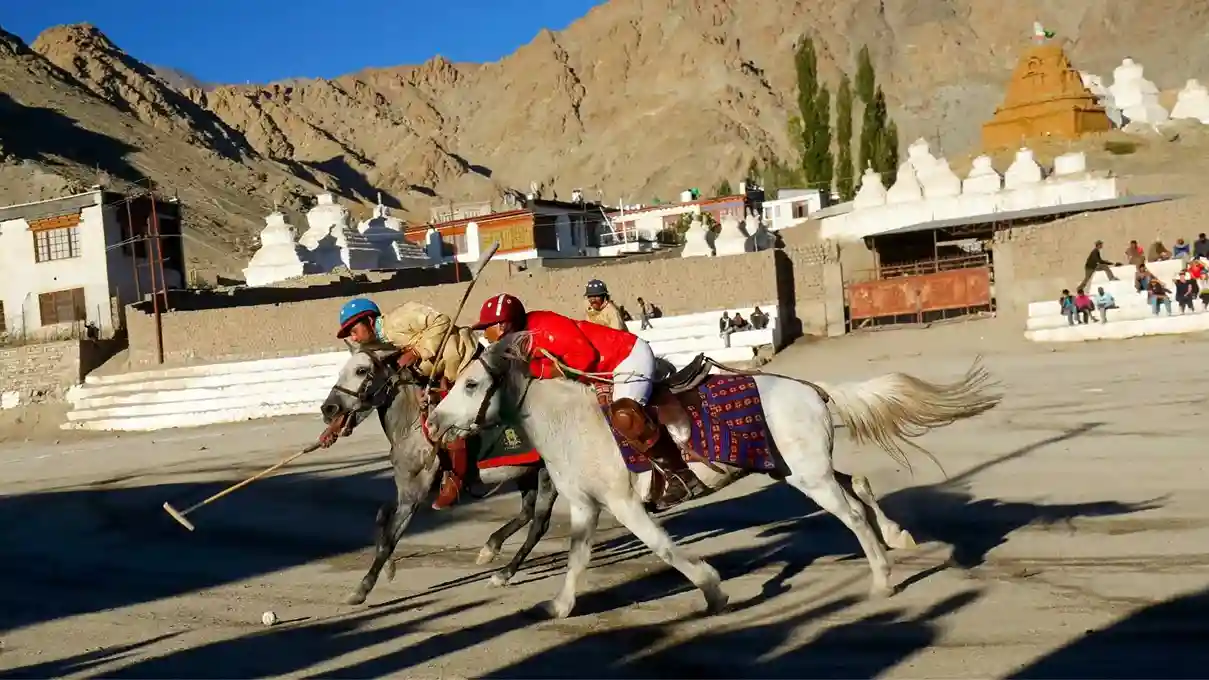 Polo, Ladakh, Jammu & Kashmir