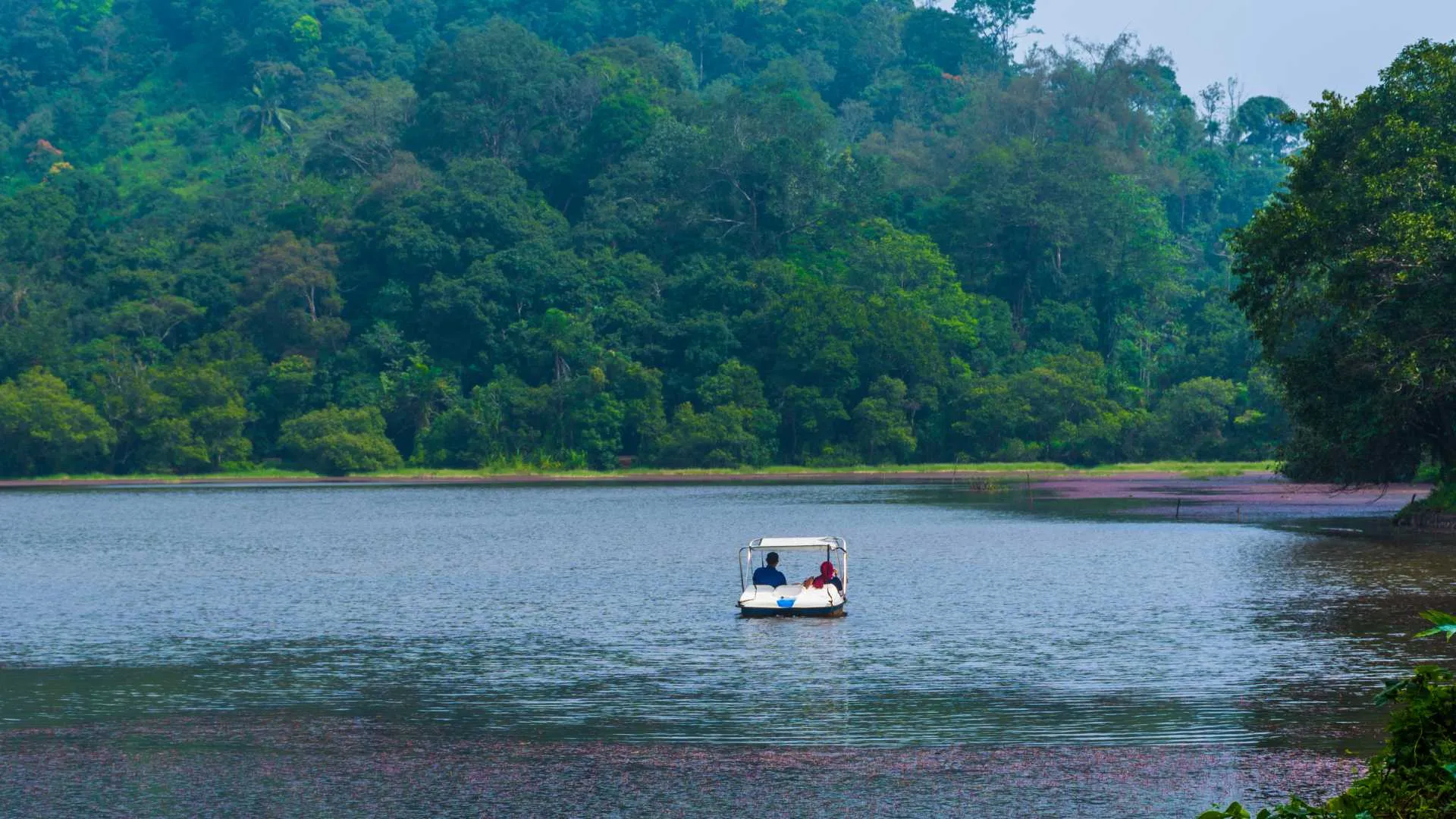 Pookode Lake Wayanad Kerala