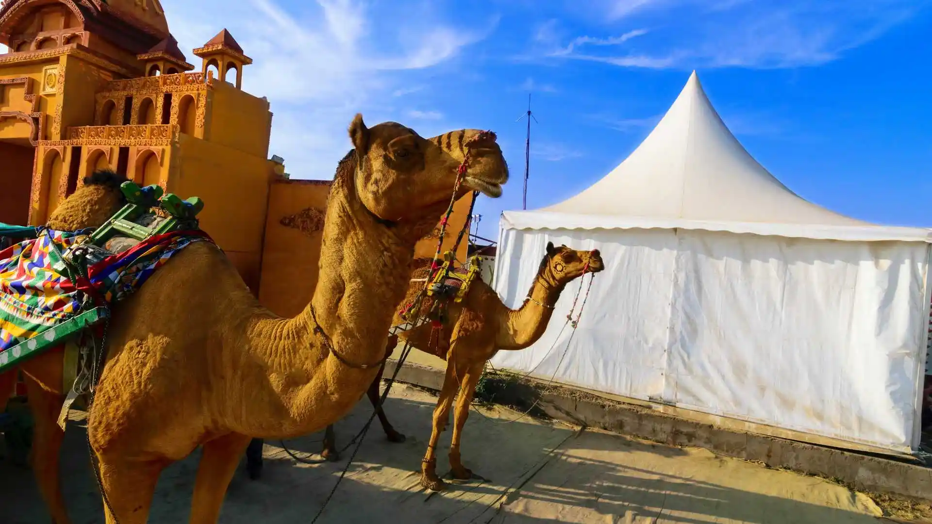 Rann Utsav - Rann of Kutch Gujarat