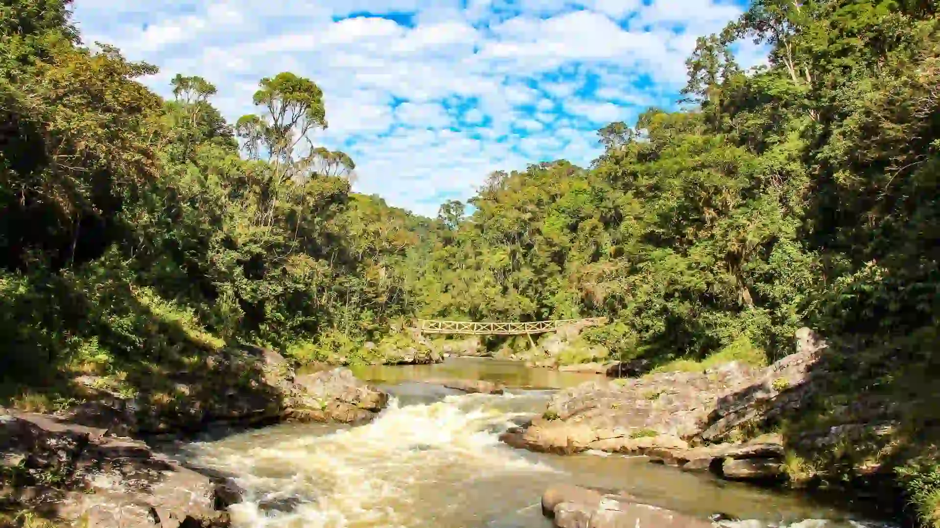 Ranomafana National Park