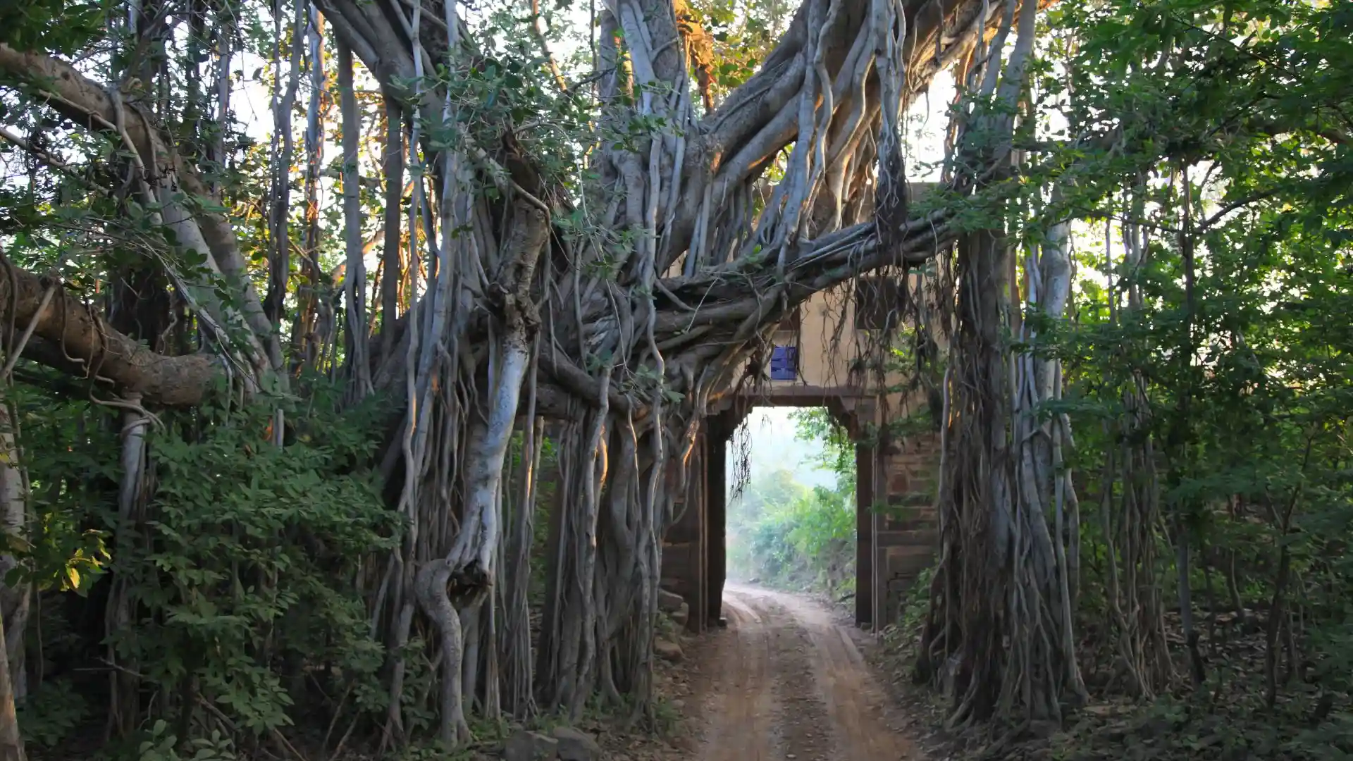 Ranthambore National Park