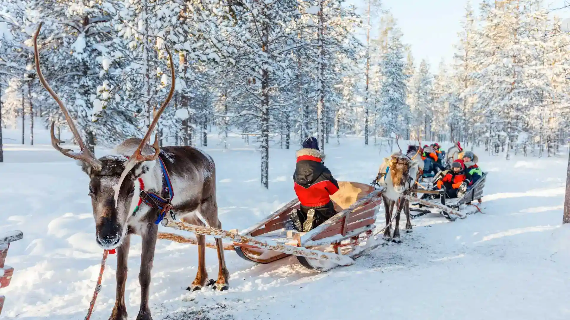 Santa Claus Adventure in Rovaniemi