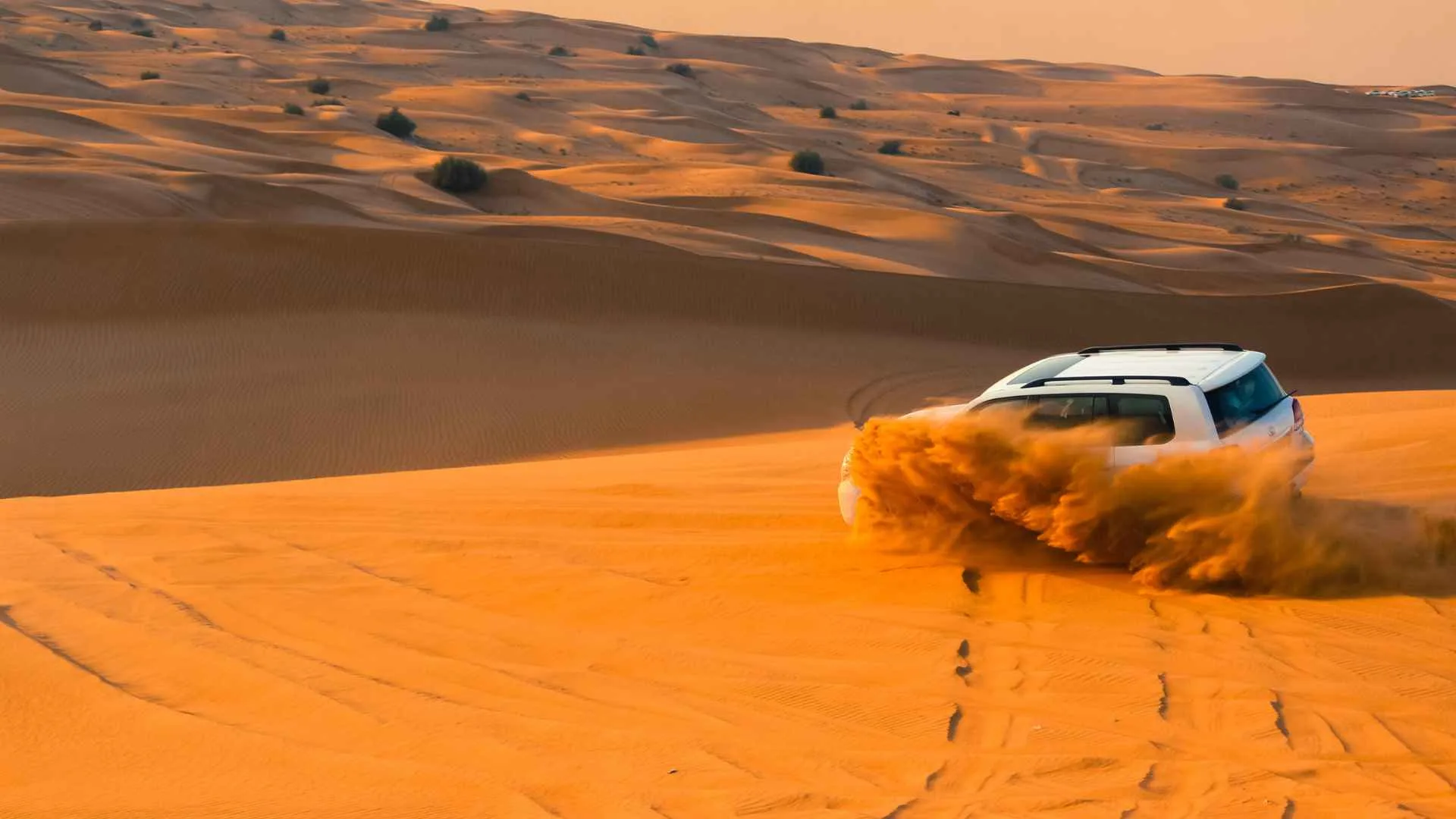Safari in Sand Dunes