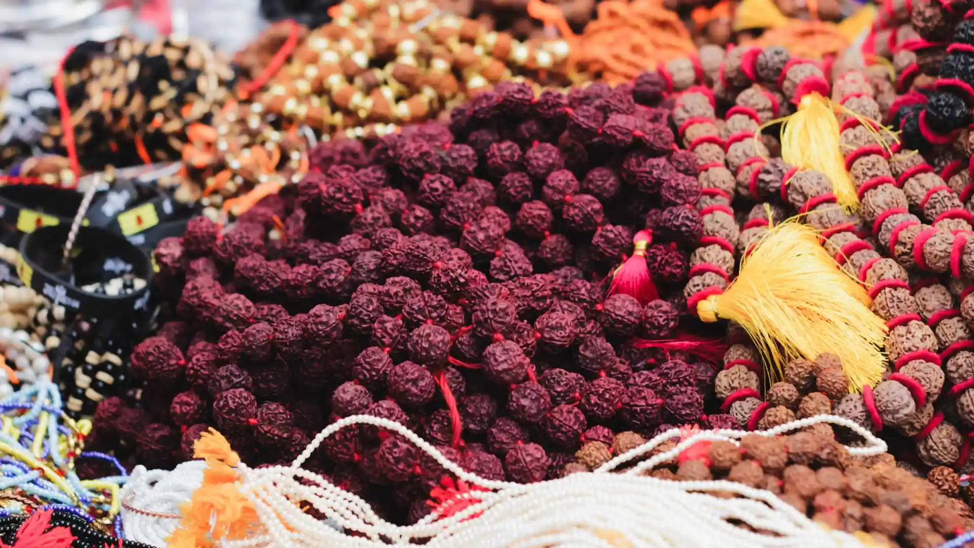 Rudraksha Nashik Maharashtra
