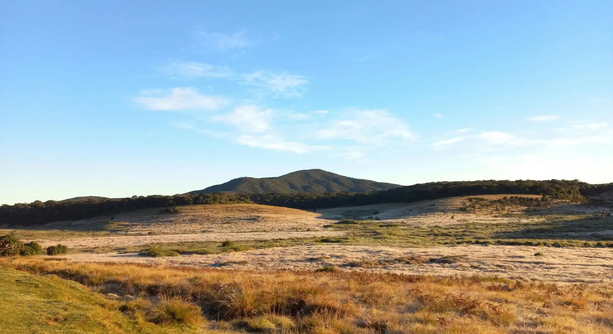 Scenic Morning In Horton Plains Sri Lanka