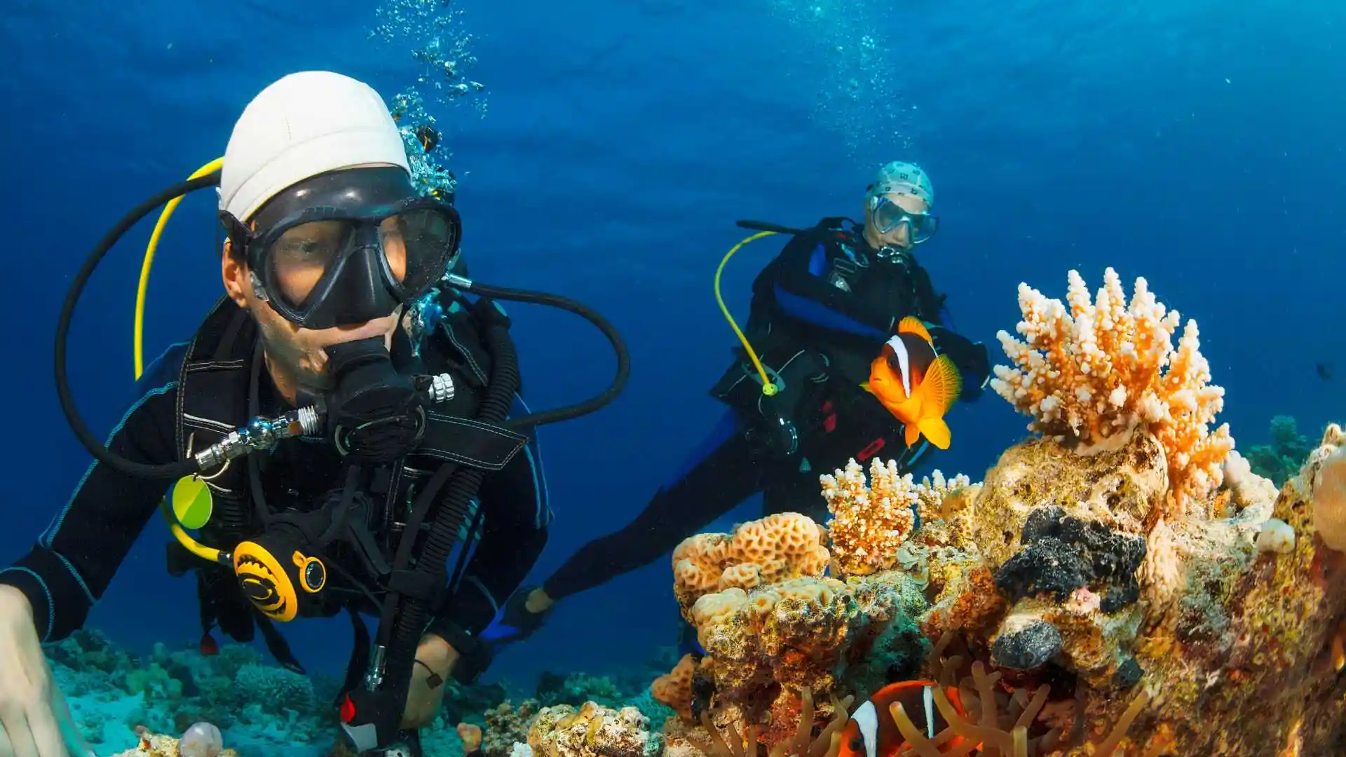 Scuba Diving In the Sea