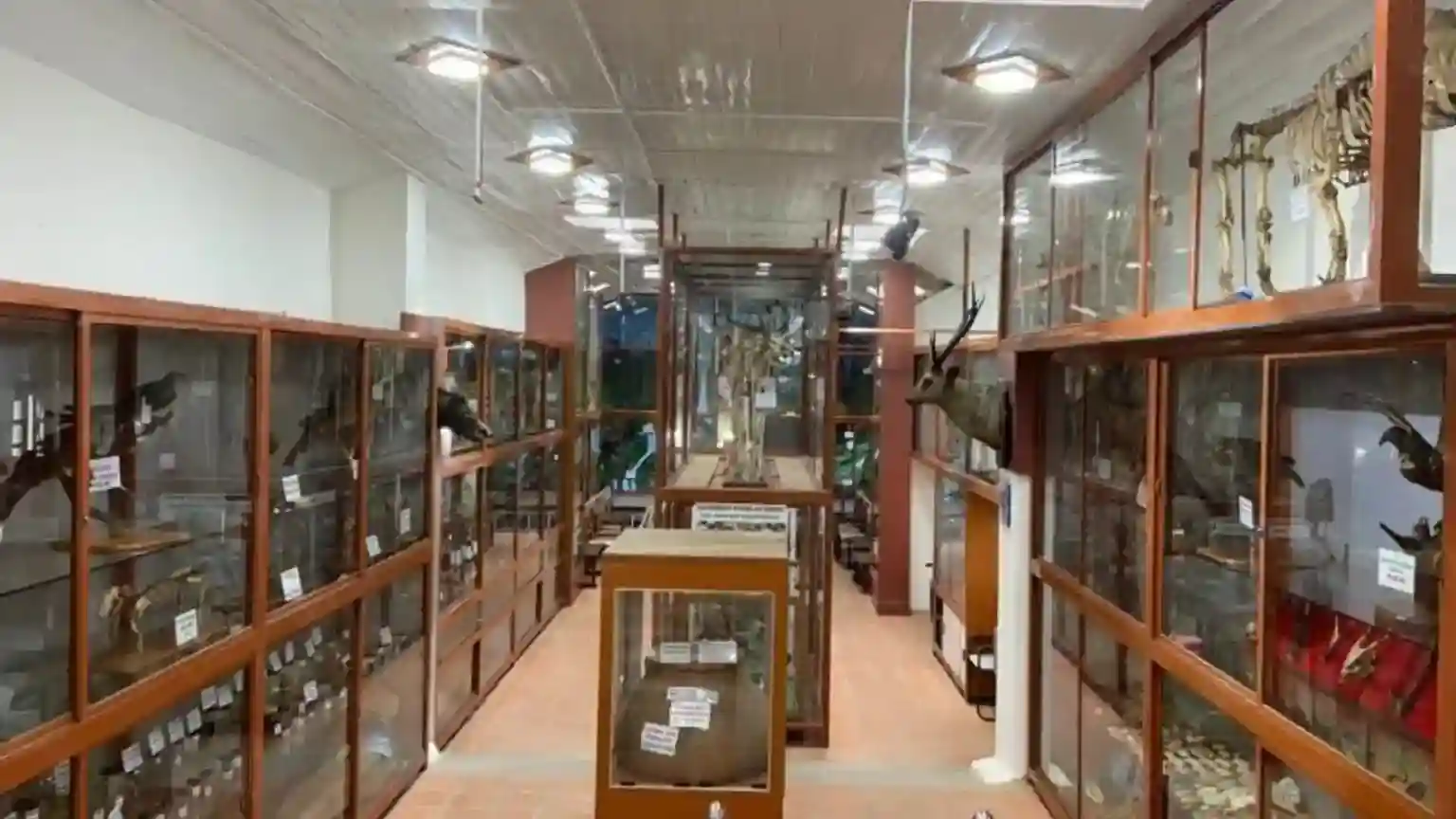 Shenbaganur Museum