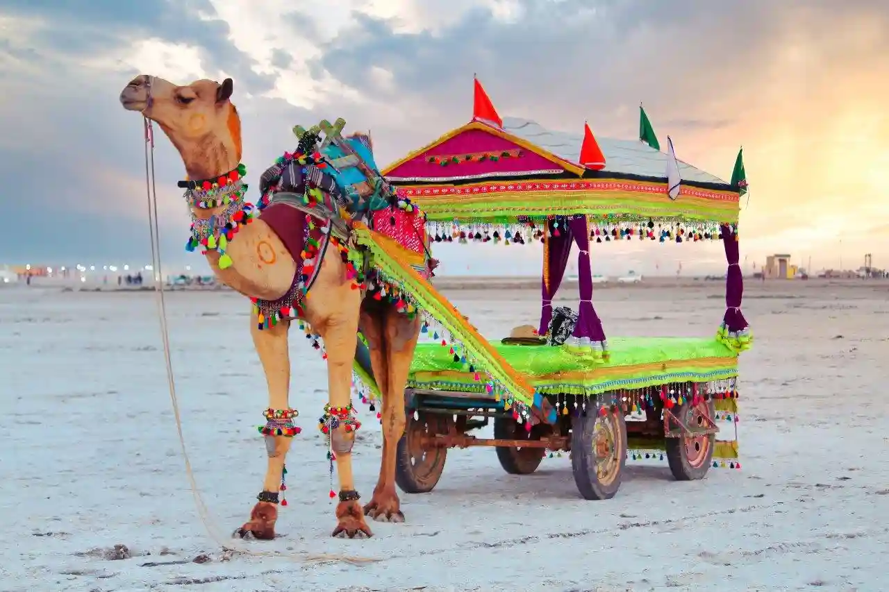 Little Rann of Kutch