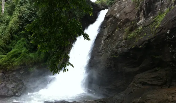 Soochipara Falls Wayanad Kerala