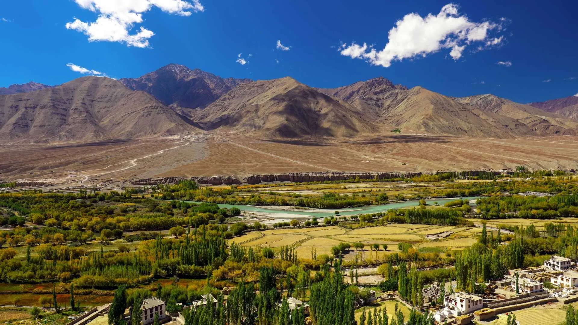 Spituk, Leh, Jammu & Kashmir
