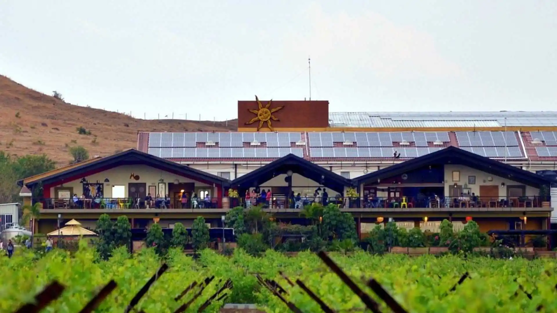 Sula Vineyard Nashik Maharashtra