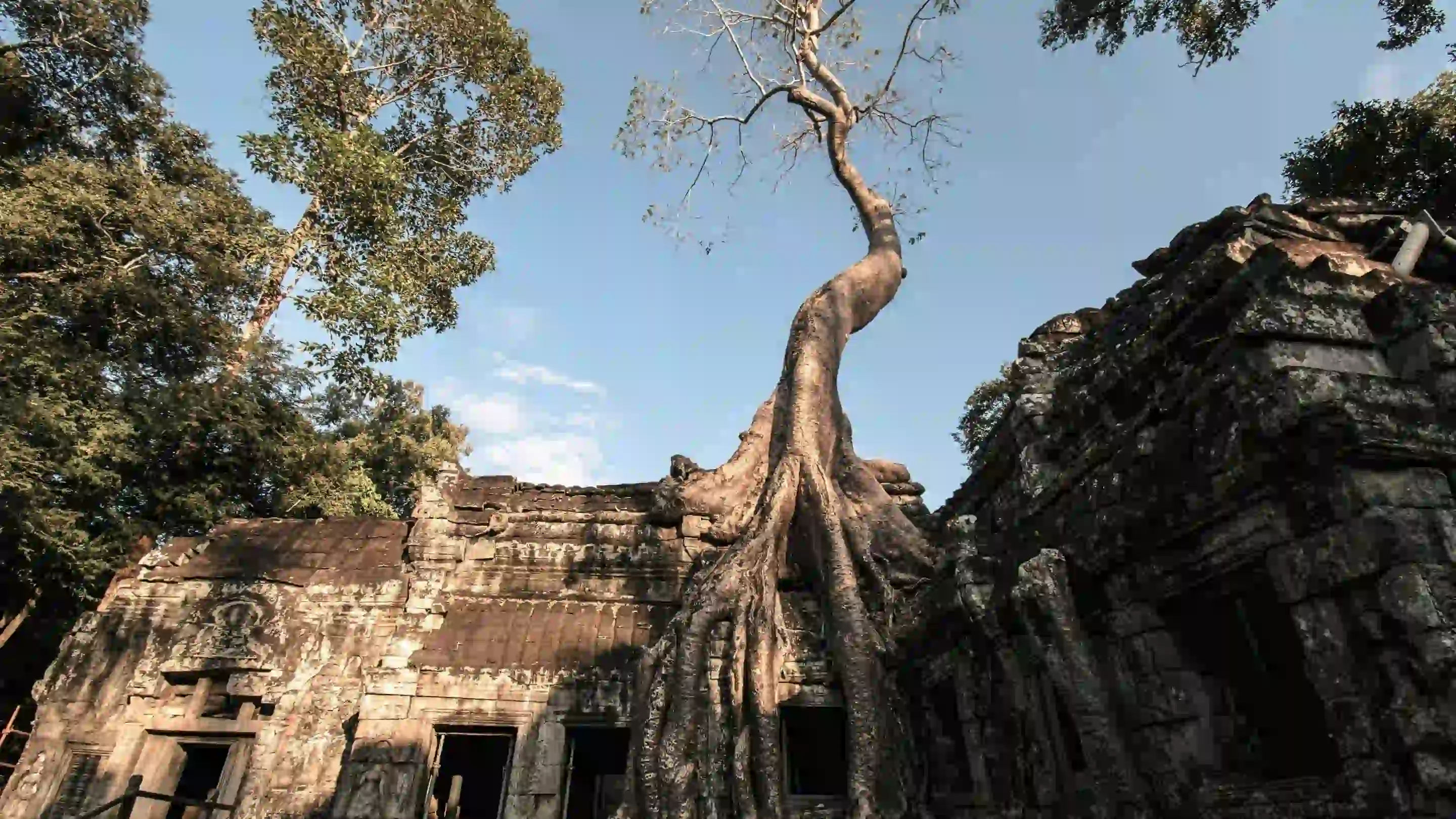 Ta Prohm Temple