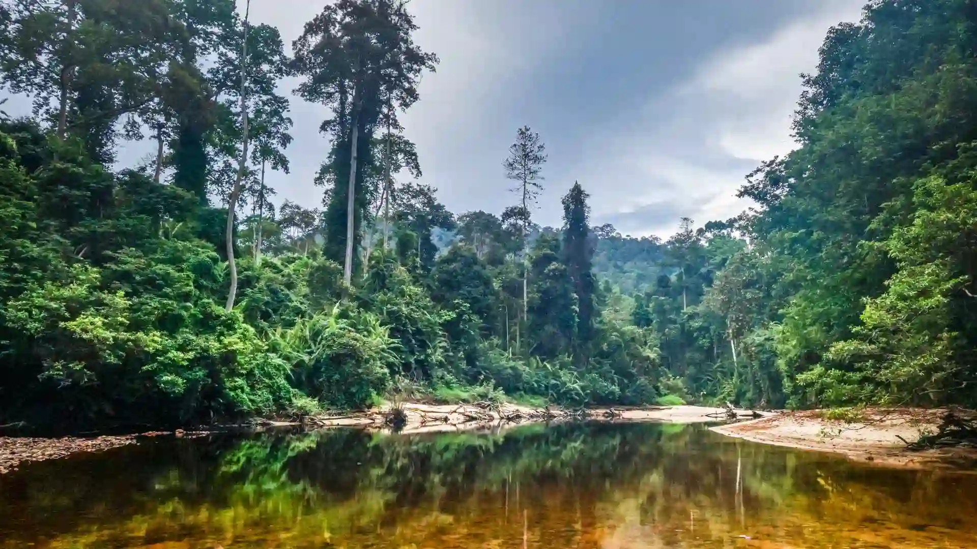 Taman Negara National Park