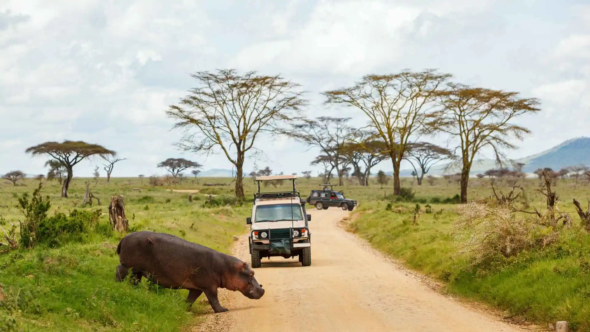 Tarangire National Park