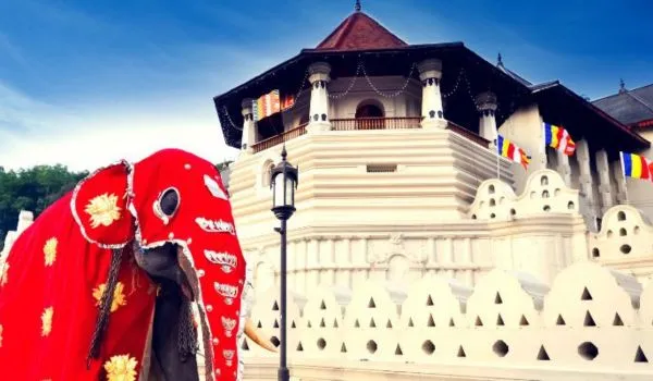 Udawalawe National Park Srilanka