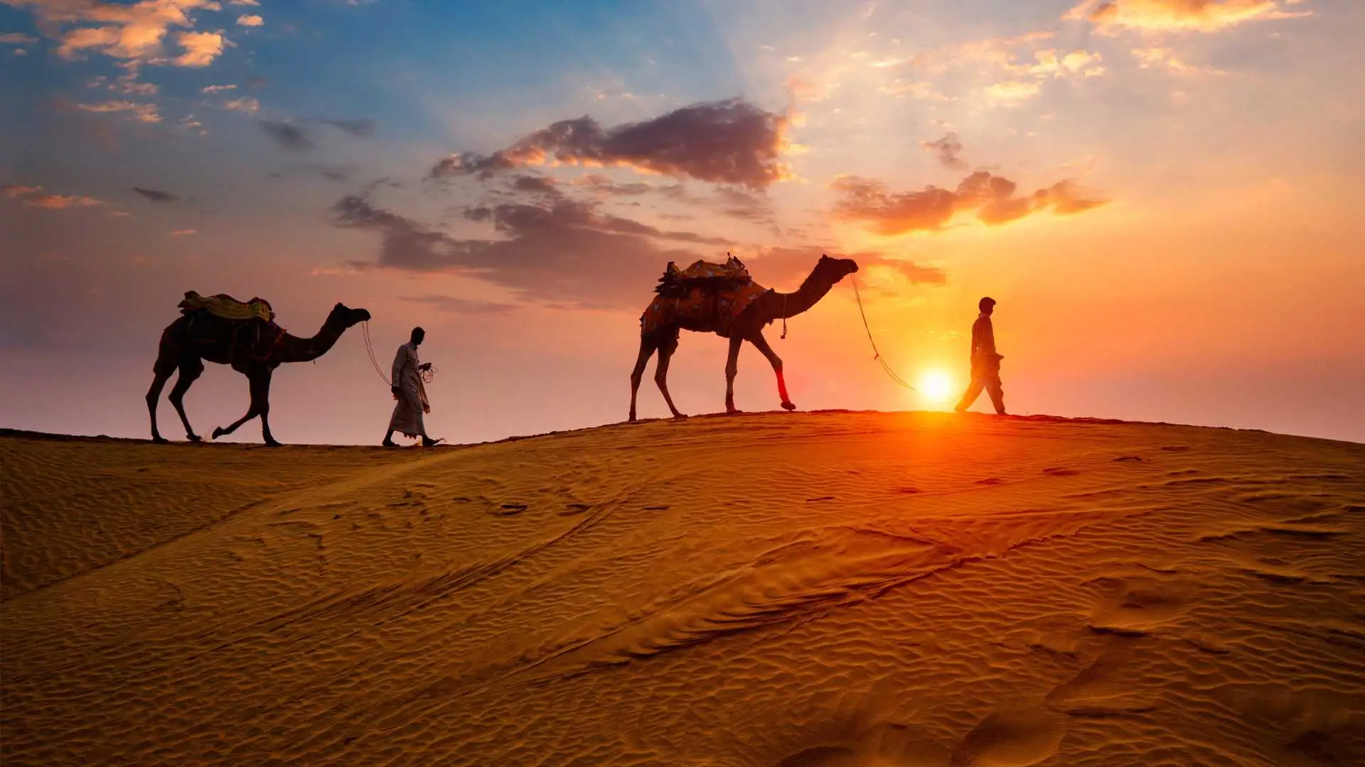 Thar Desert