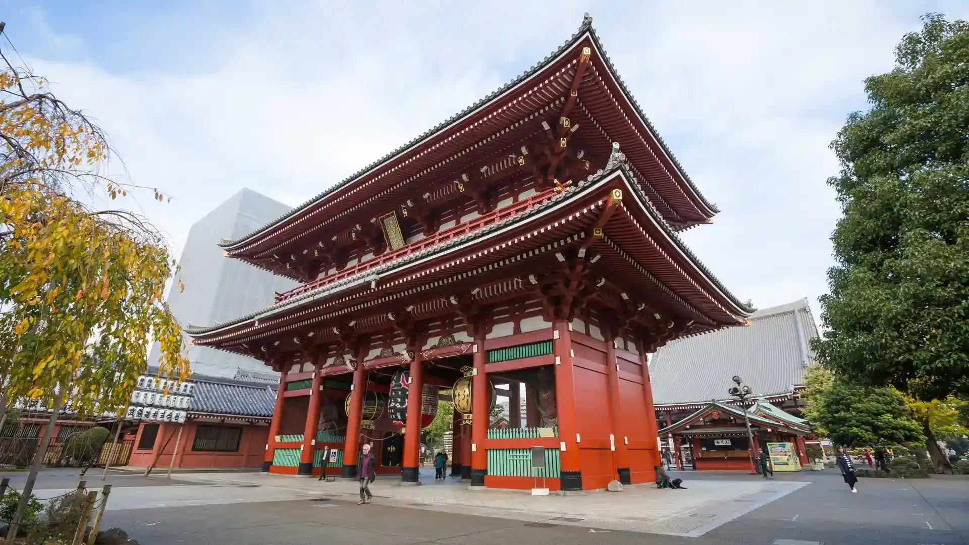 Explore Tokyo & Mt. Fuji’s Majestic Beauty