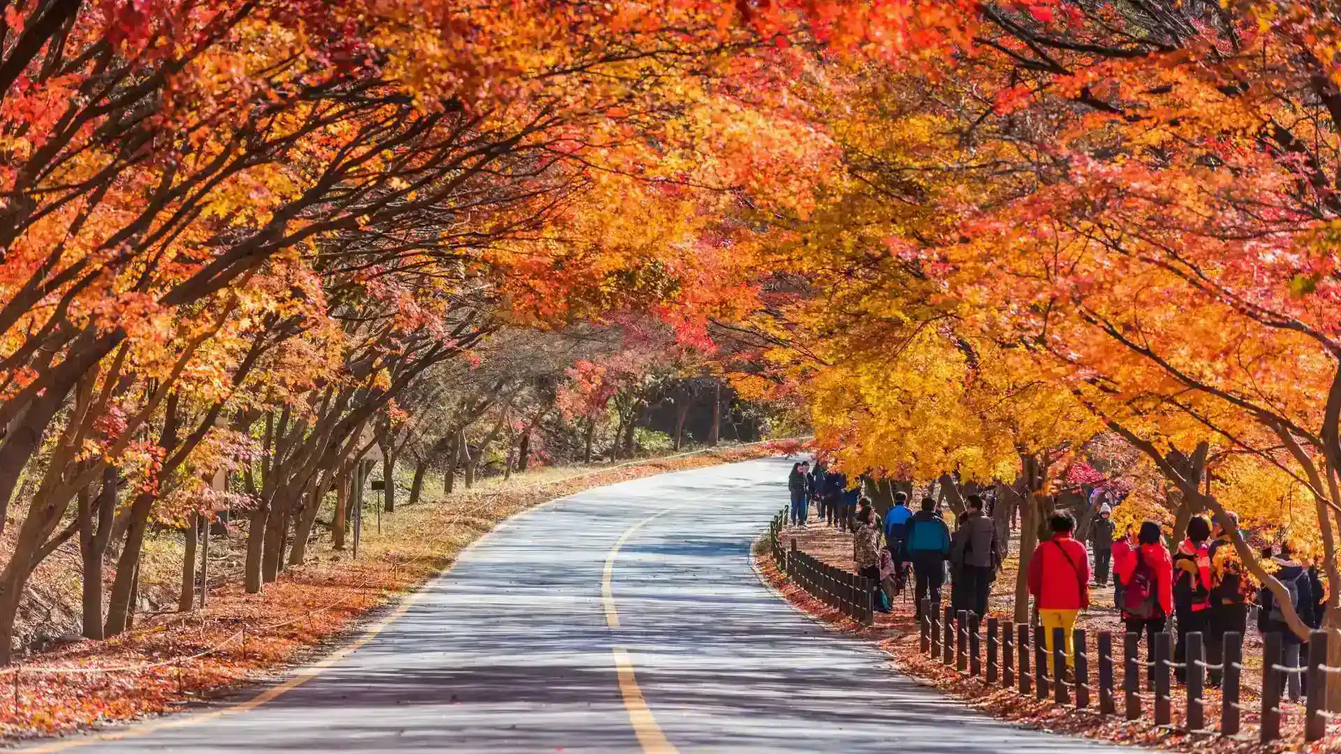 Naejangsan National Park