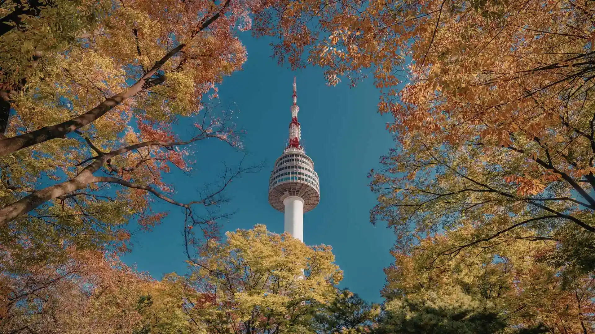 The Seoul Tower