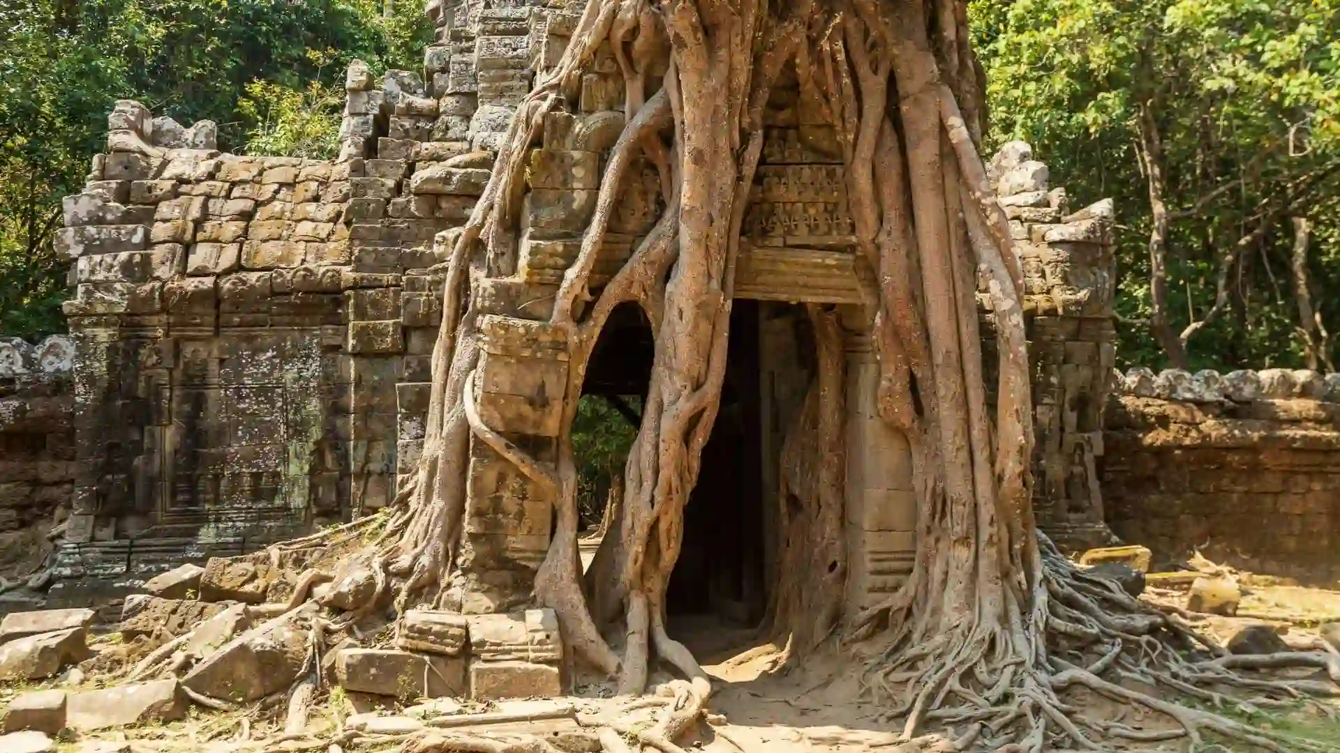 Ta Prohm Temple