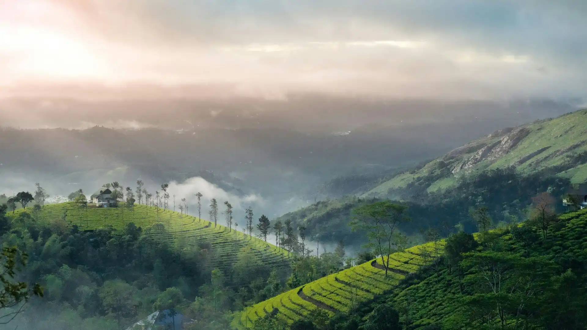 Thekkady