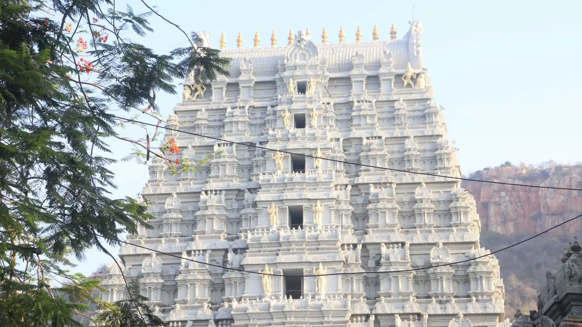 Tirumala Venkateswara Temple