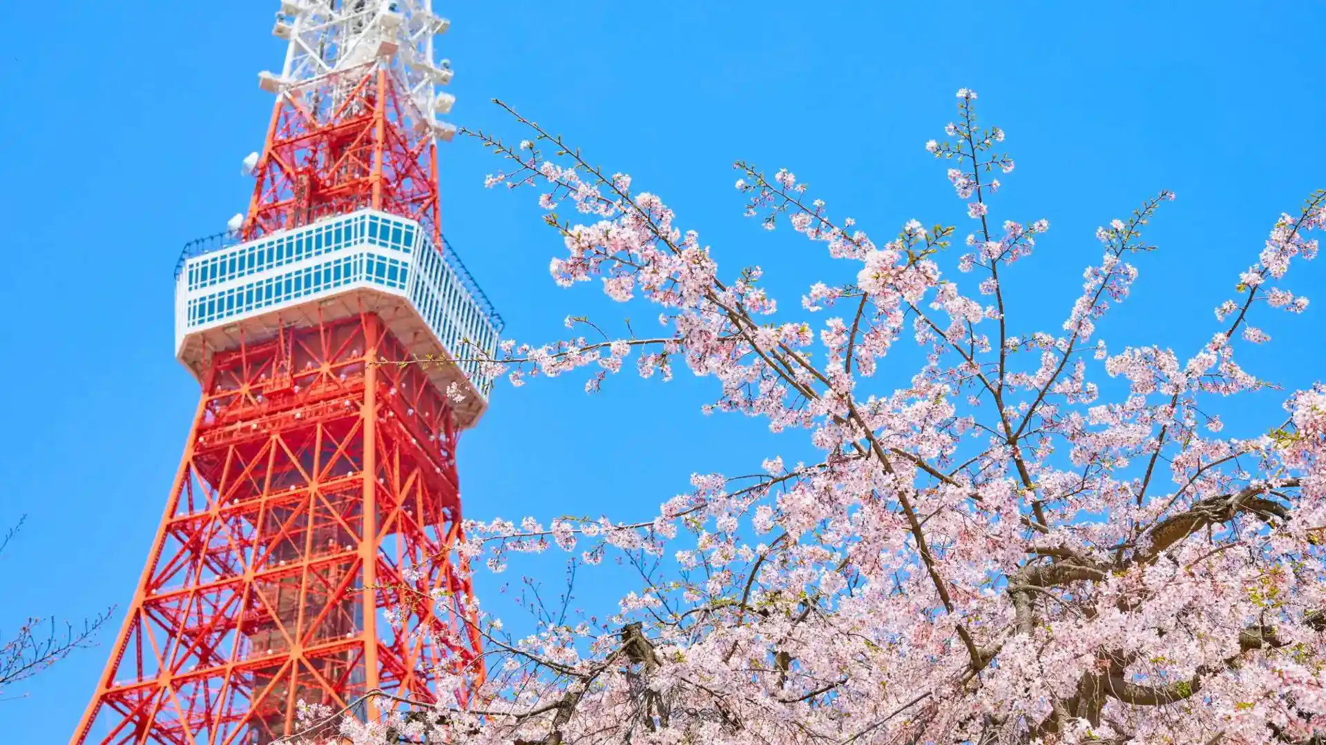 Tokyo Tower