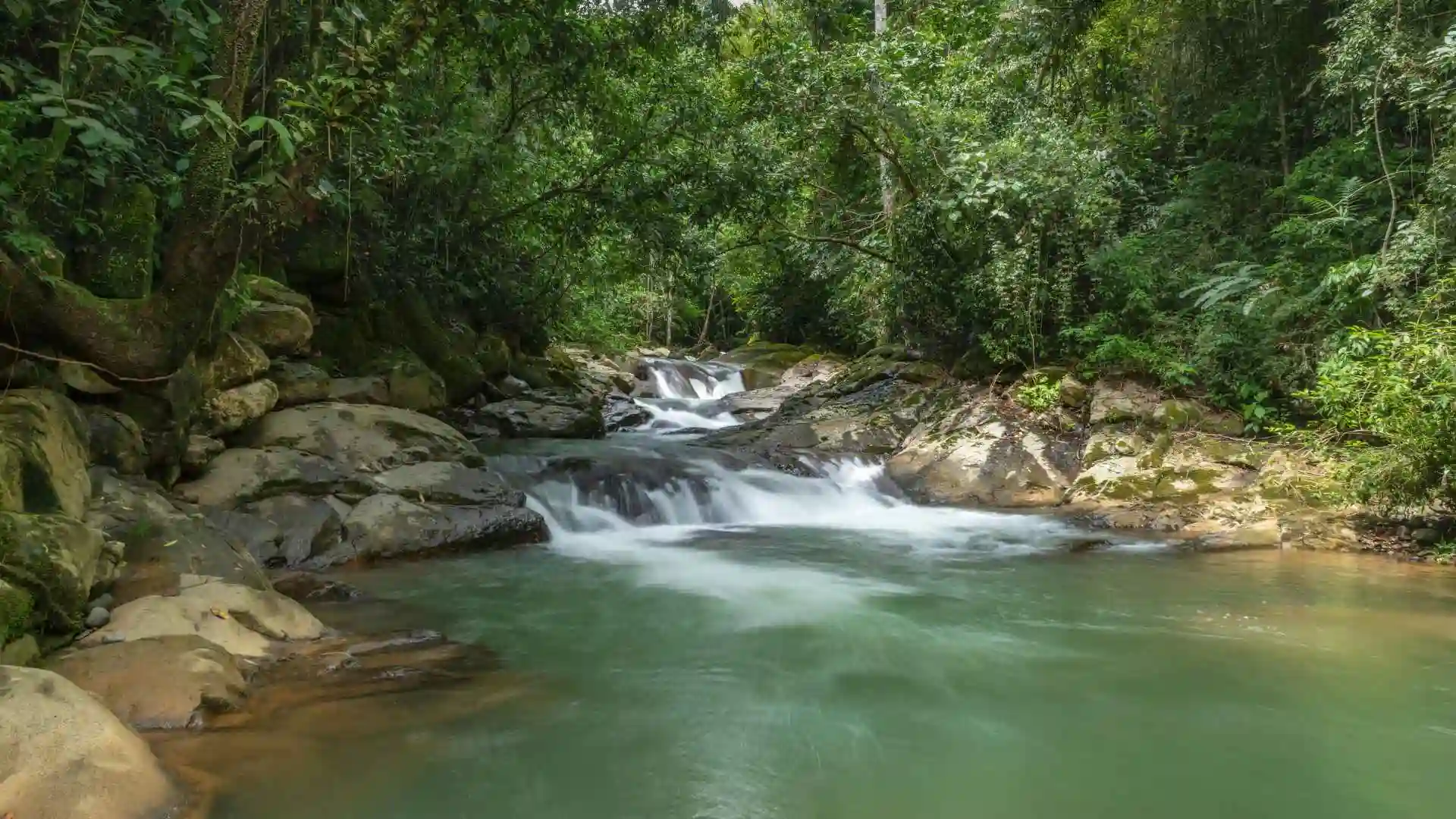 Explore Sabah’s Natural Wonders in Malaysia
