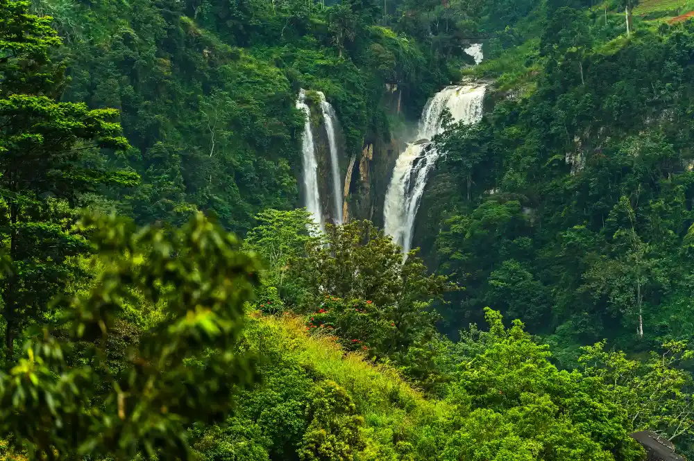 Twin waterfall cascading through green forest in the hill country of Sri Lanka