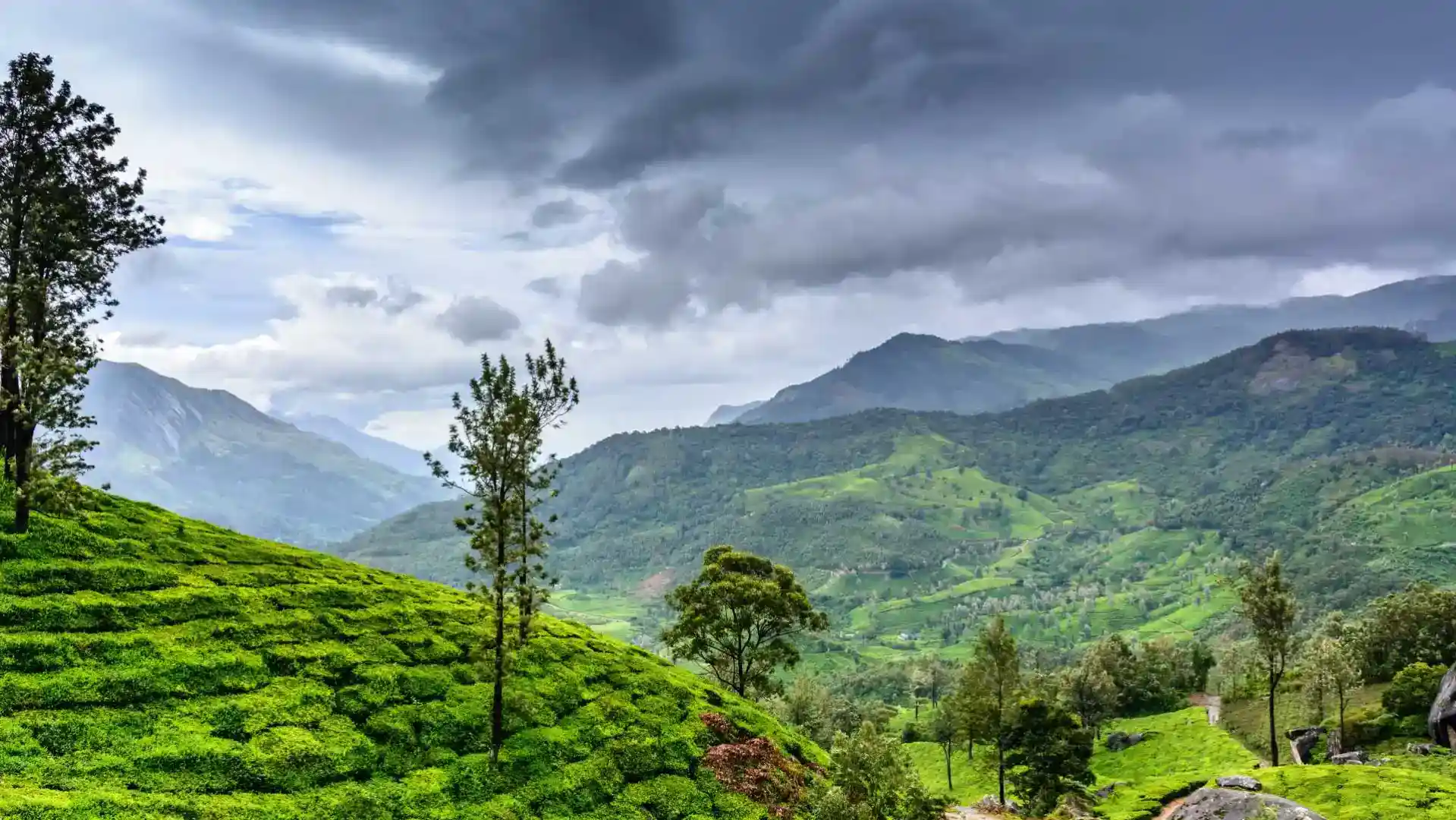 Wayanad