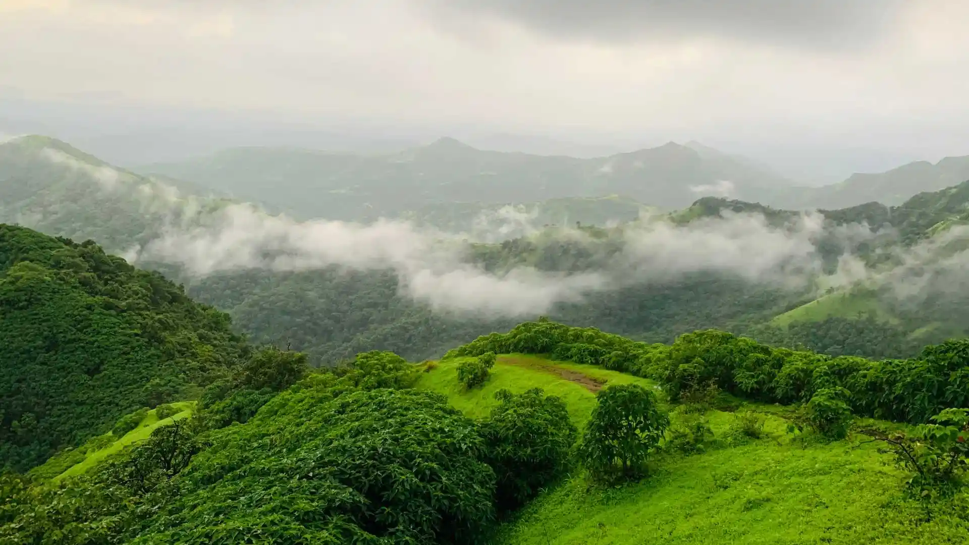 Western Ghats of Maharashtra