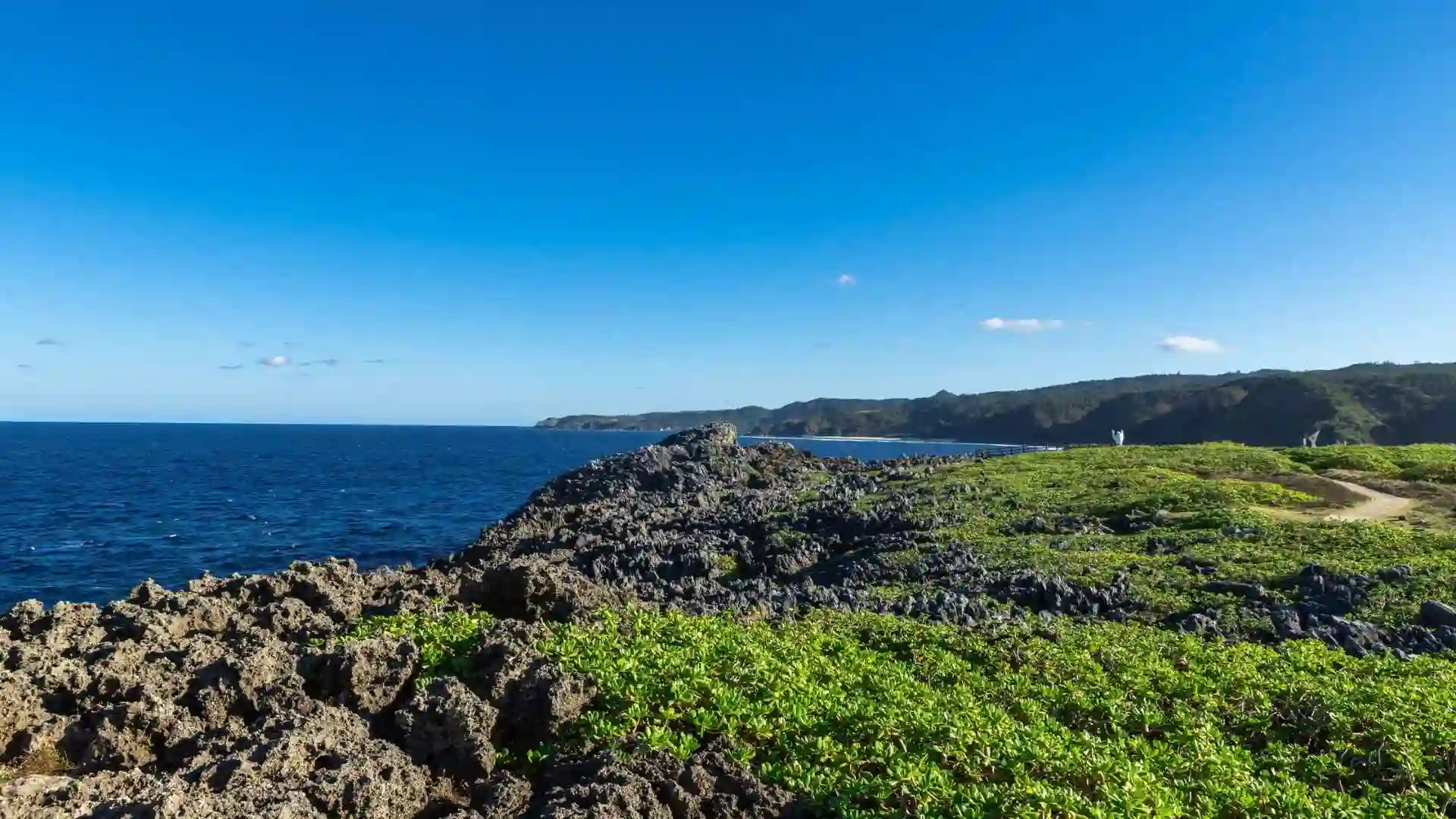 Yambaru National Park