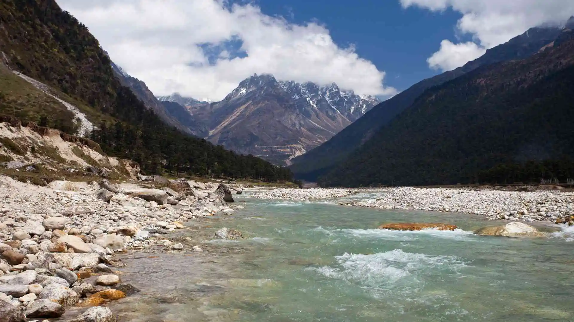 Yumthang Valley
