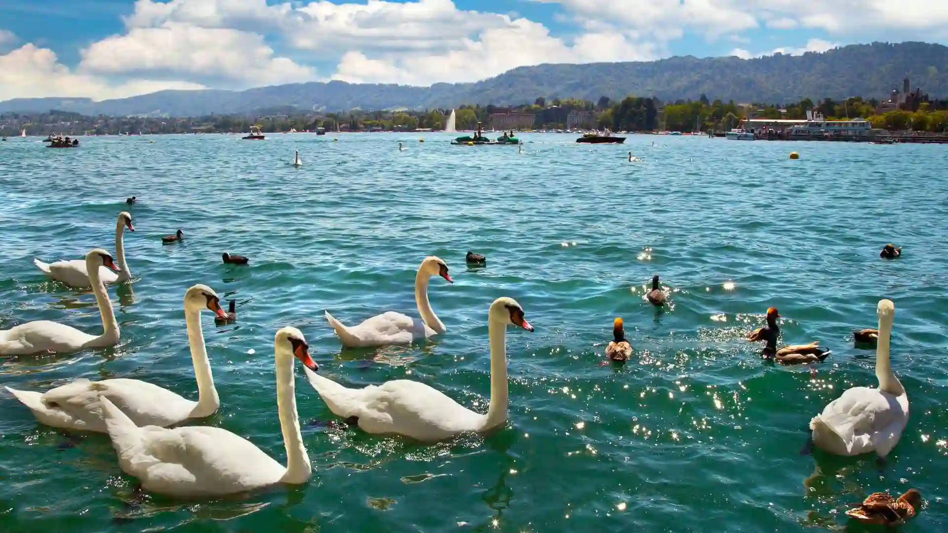 Zurich Lake
