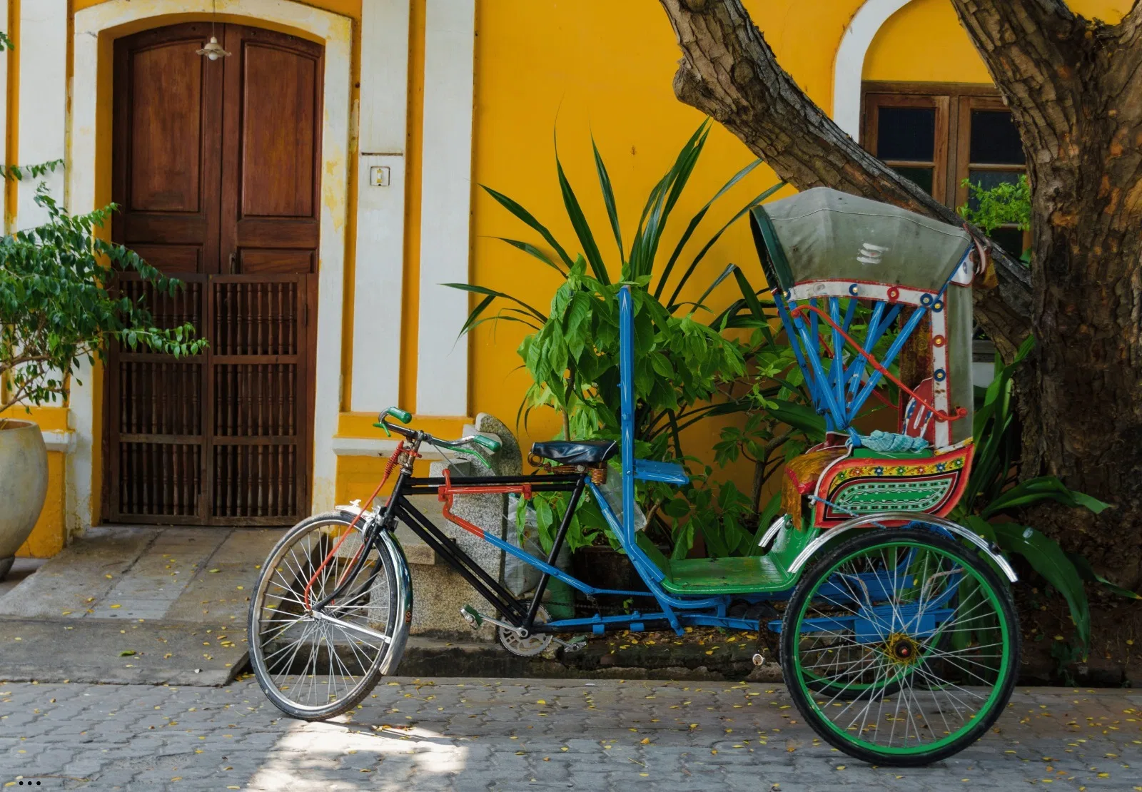 Cycle Rickshaws