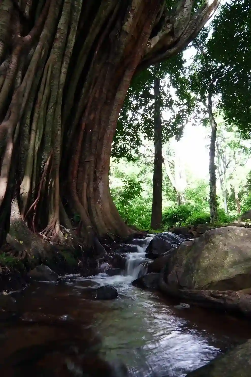 Baraliyar 3