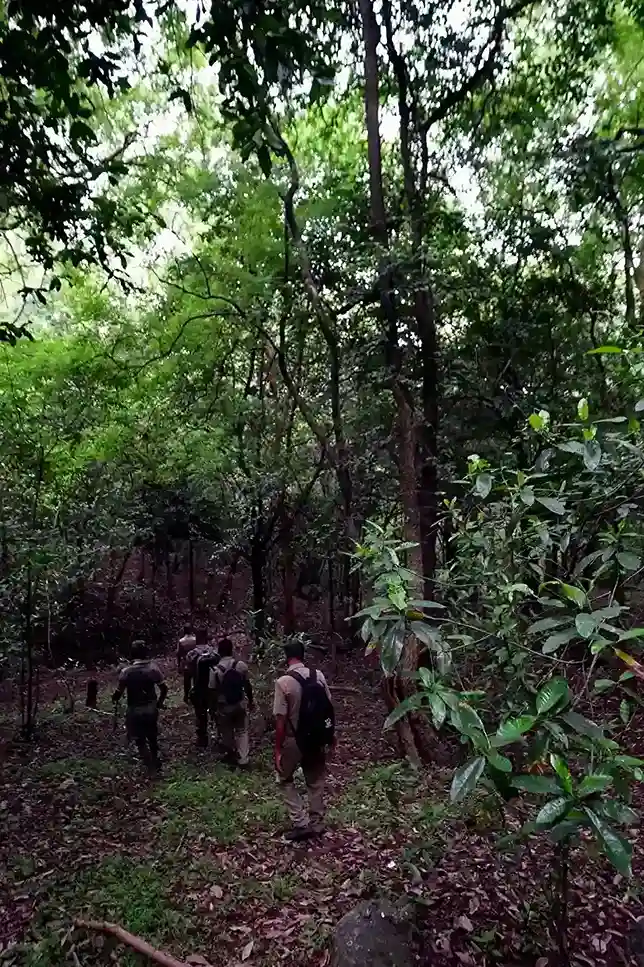 Baraliyar 5