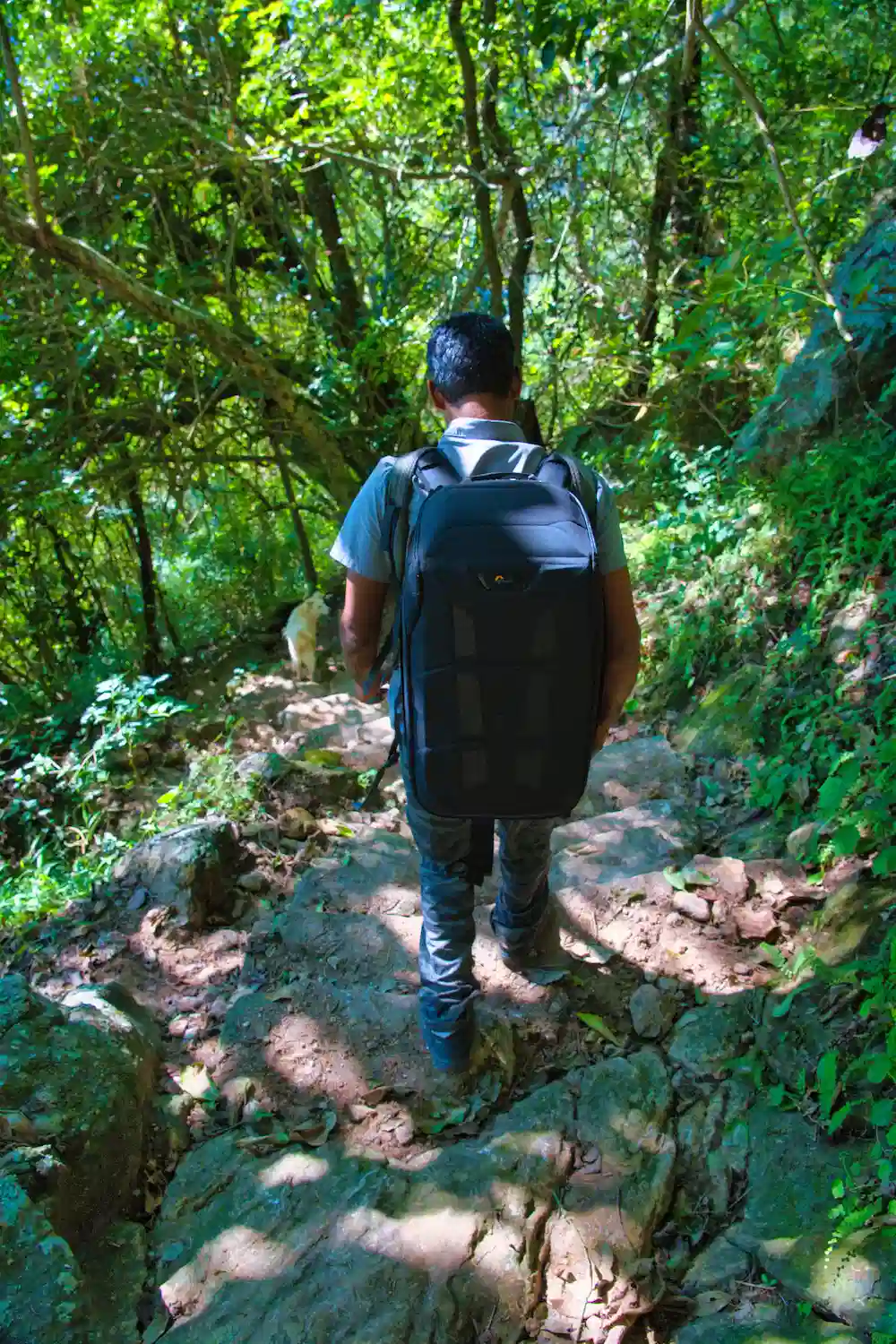 Kodaikanal - Vellagavi 4