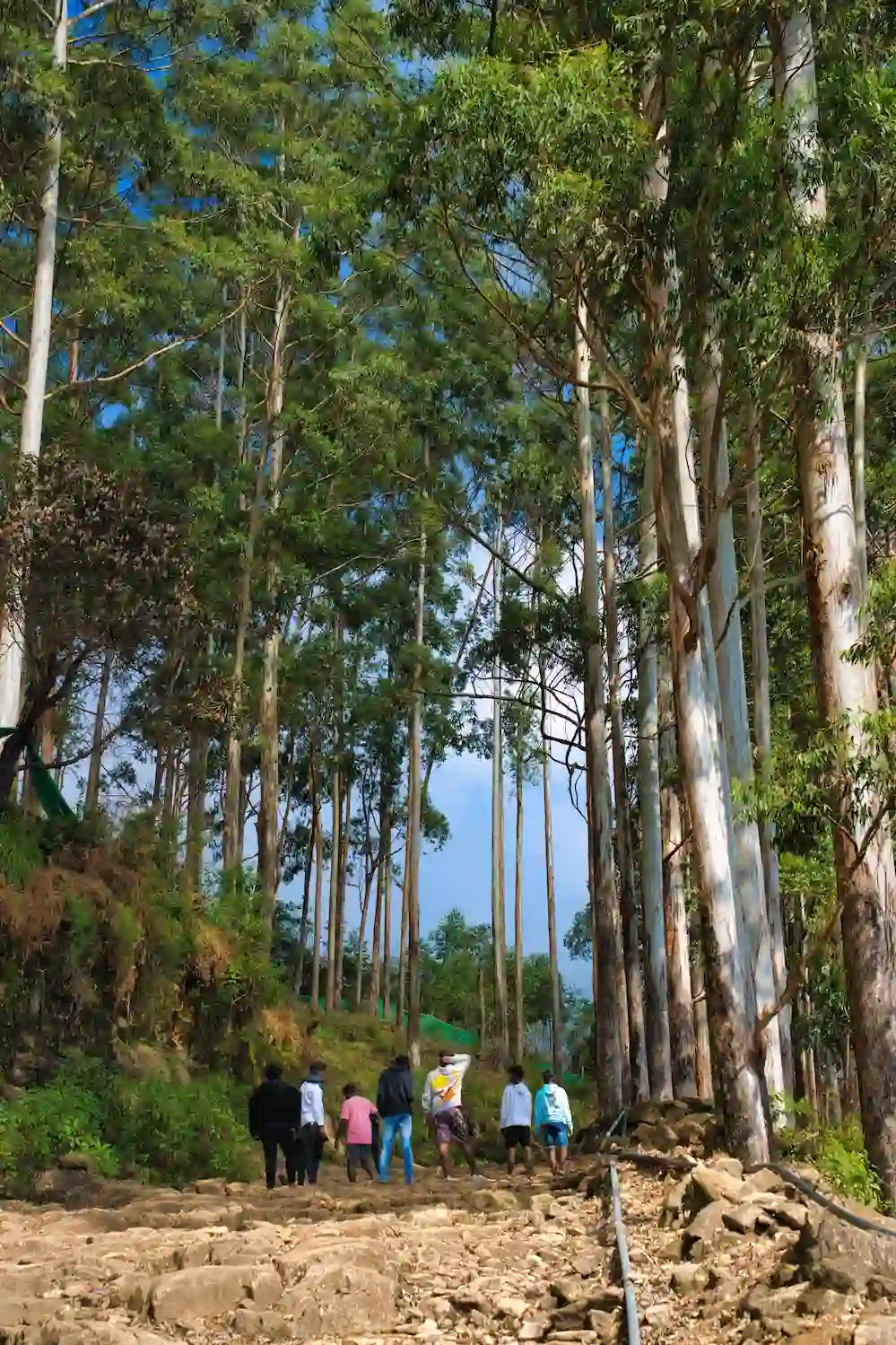 Kodaikanal - Vellagavi - Kumbakarai